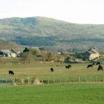 What’s rural Wales’ problem?
